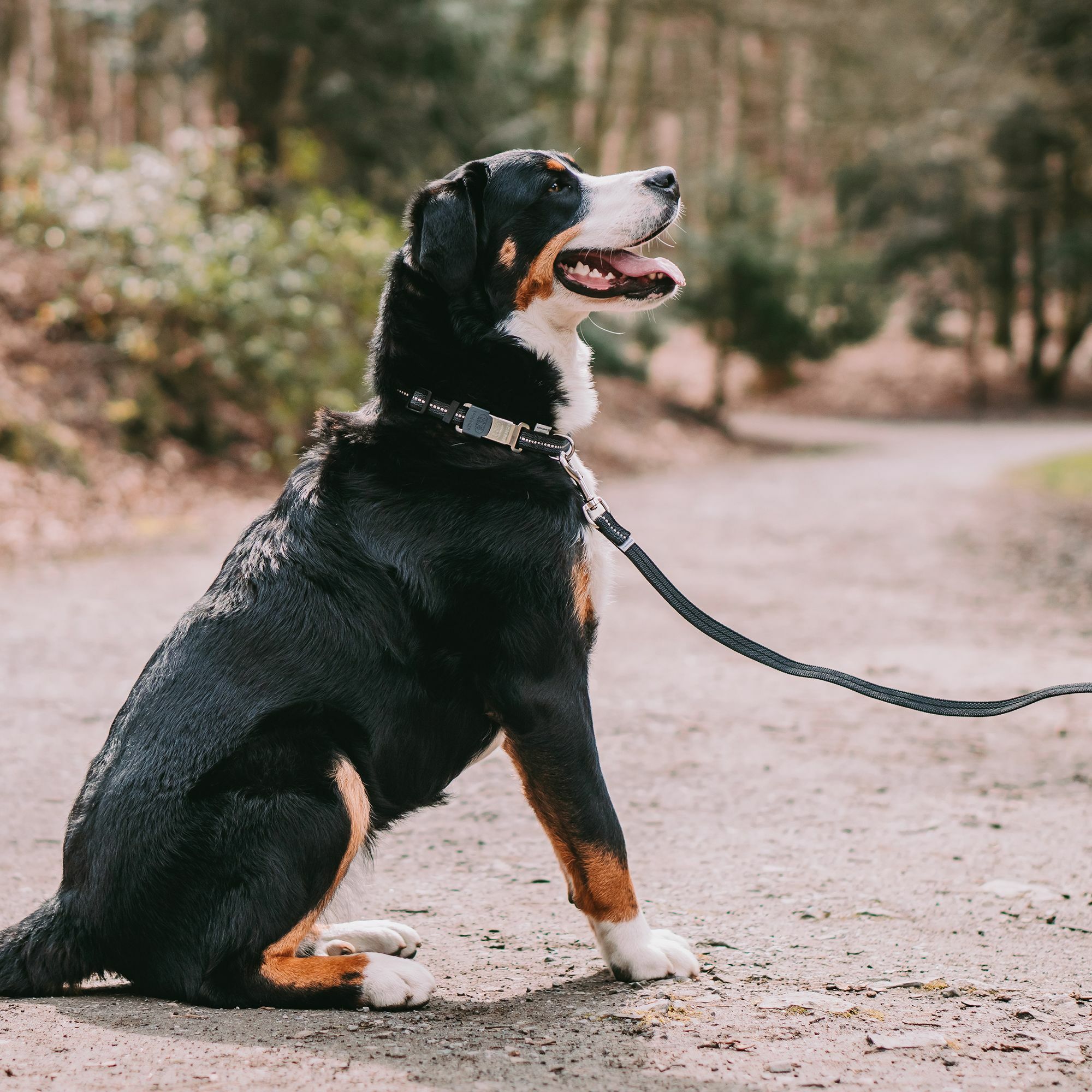 HS Vodítko pogumované bez uška, 19mm/100cm, čierne