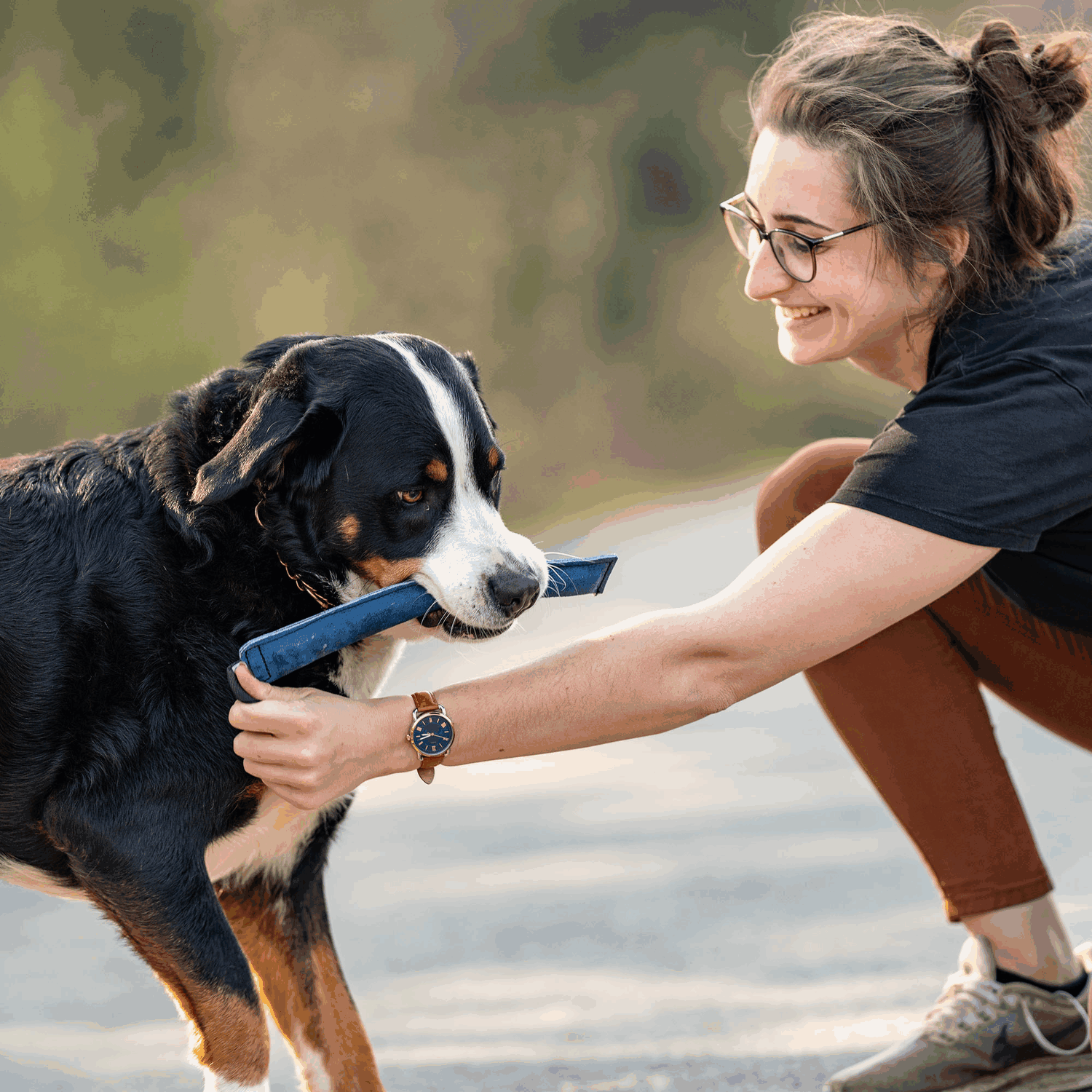 HS Pešek šitý, 1 uško, veľký, pre veľké plemená psov, 8cm/24cm, koža