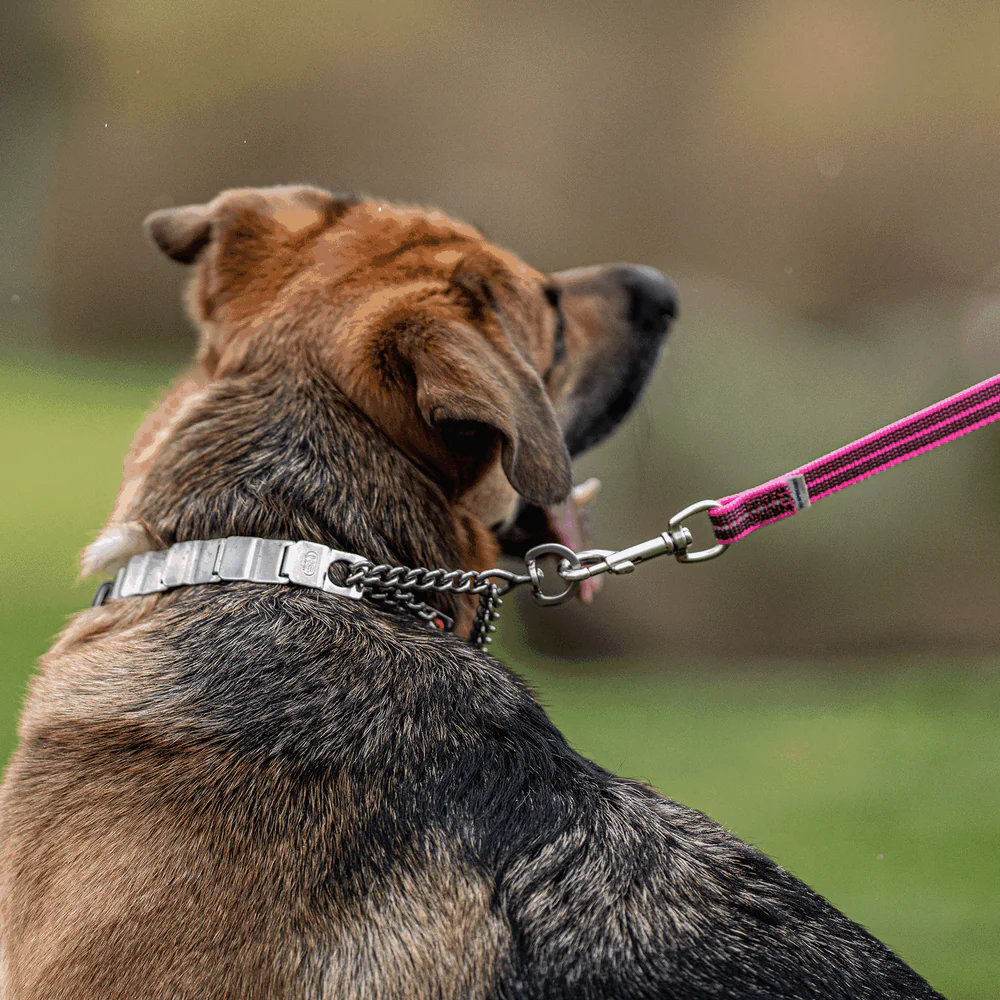 HS Sprenger | Obojok sťahovací Neck-Tech Fun 2cm/50cm, obmedzovač, karabína, obratlík, nerezová oceľ