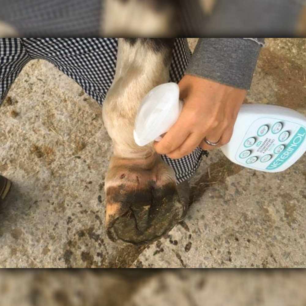 VETERINOL ošetrujúci a dezinfekčný veterinárny roztok sprej 500 ml