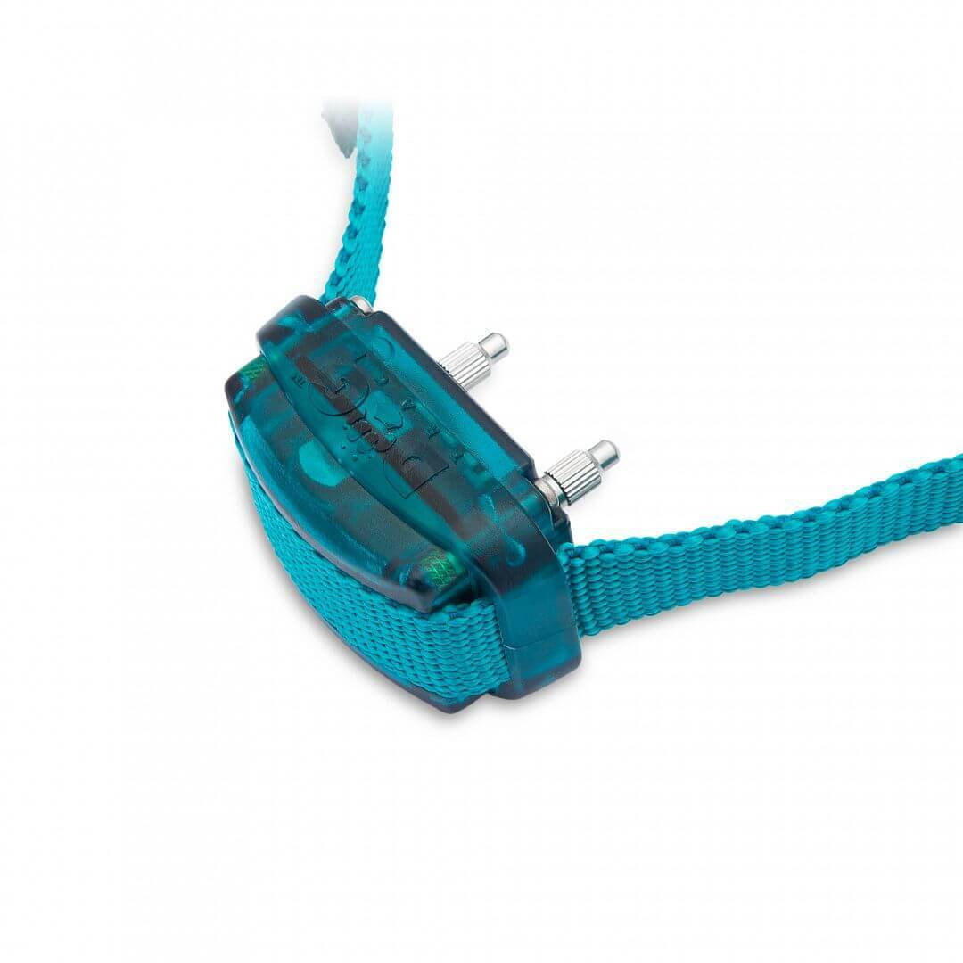 Elektronický obojok 200 mini, 2cm/max 75cm, tyrkysový