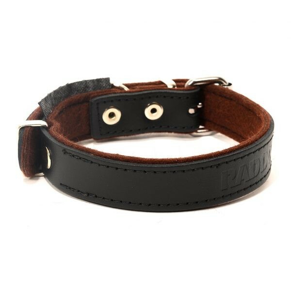 RADDOG | Obojok kožený, 2.5cm/30-42cm, malý, pre šteňatá veľkých a stredných plemien