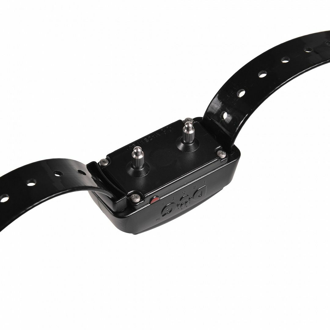 Elektronický obojok professional 2000, 2.5cm/max 70cm, čierny