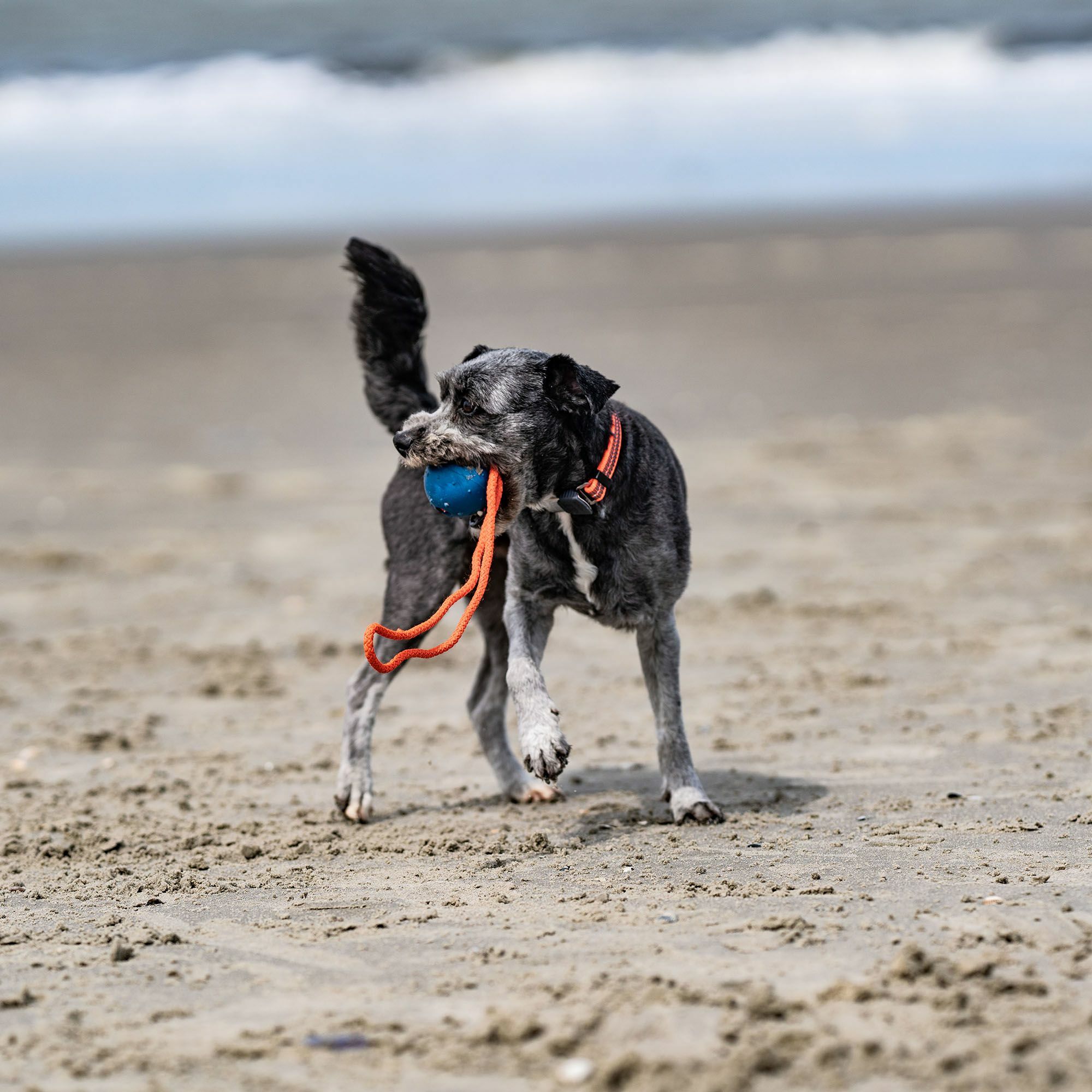 HS Lopta gumená s priemerom 6cm, plná, s uškom, žltá