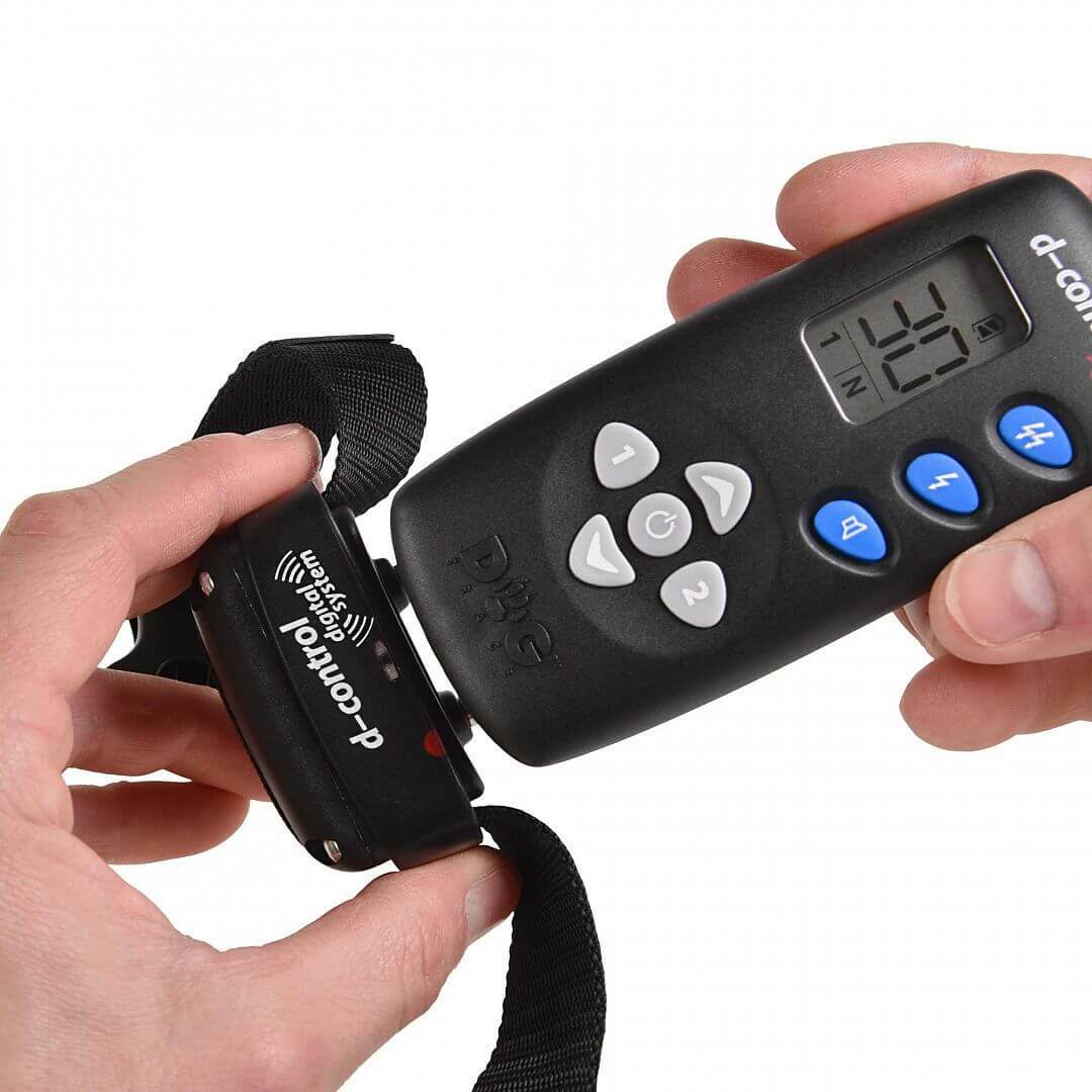 Elektronický obojok 600, pre stredné a väčšie plemená, 2.5cm/max 75cm, čierny