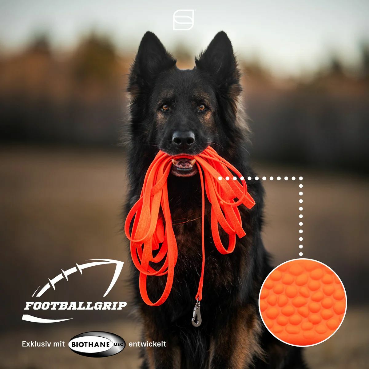 HS Sprenger | Vodítko stopovacie bez uška pogumované, Footballgrip, 16mm/5m, nerezová karabína, oranžové
