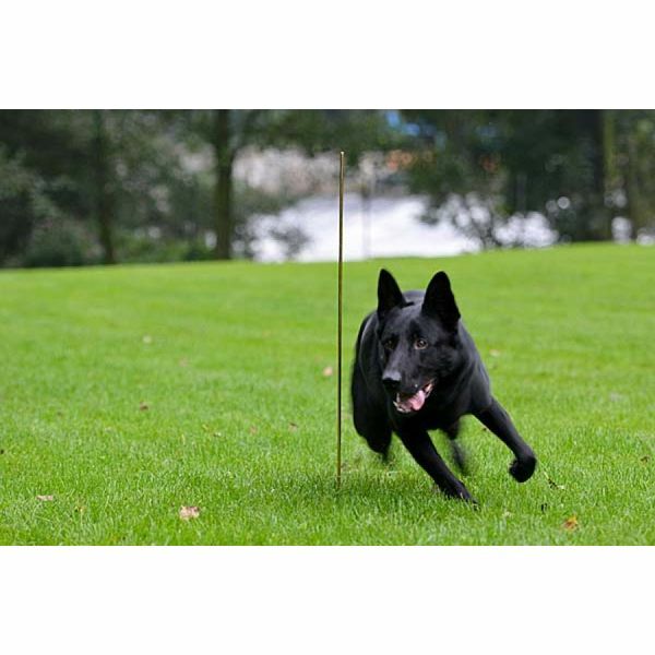 Obiehacia tyč na zapichnutie do zeme