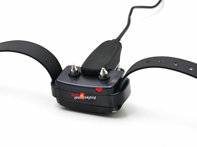 Elektronický obojok pre ďalšieho psa D-control professional ONE (IVSZ), 1.5cm/max 50cm, oranžový