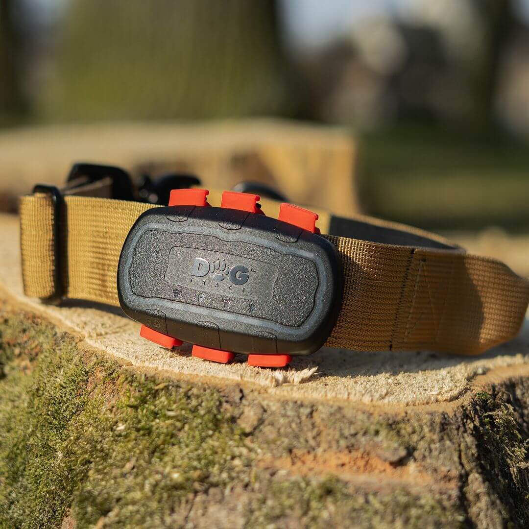 Vyhľadávacie zariadenie pre psov DOG GPS ultra lokátor