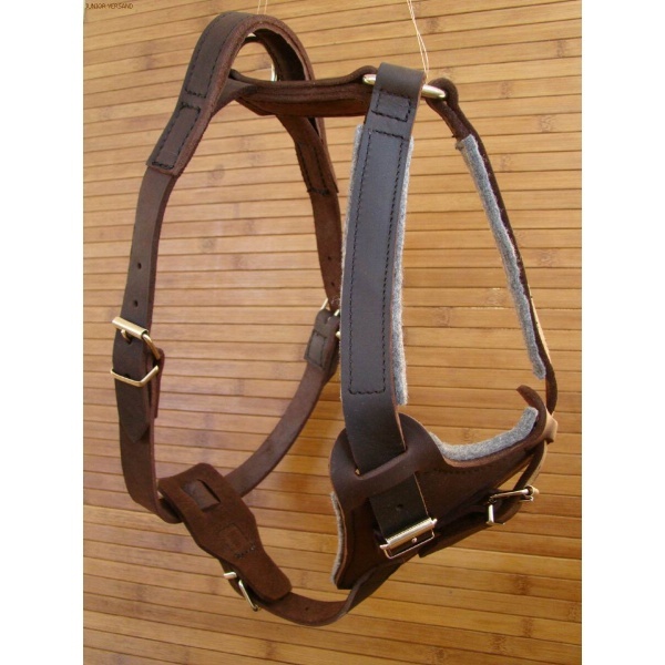 Postroj na obranu, polstrovaný, 60-80cm, koža, stredné psy