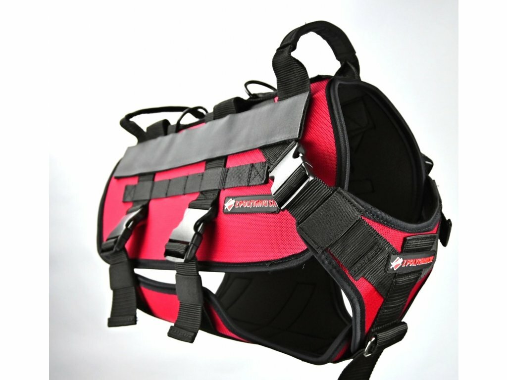 Postroj pre ozbrojené zložky SPARTAN, 2 rúčky, polstrovaný, cordura, pes, taktická zelená