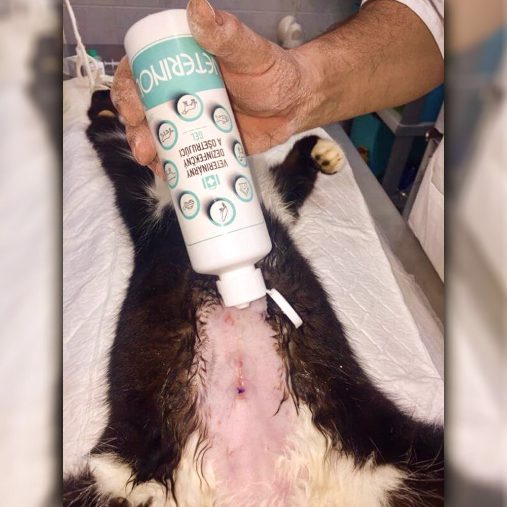 VETERINOL dezinfekčný gél 250 ml