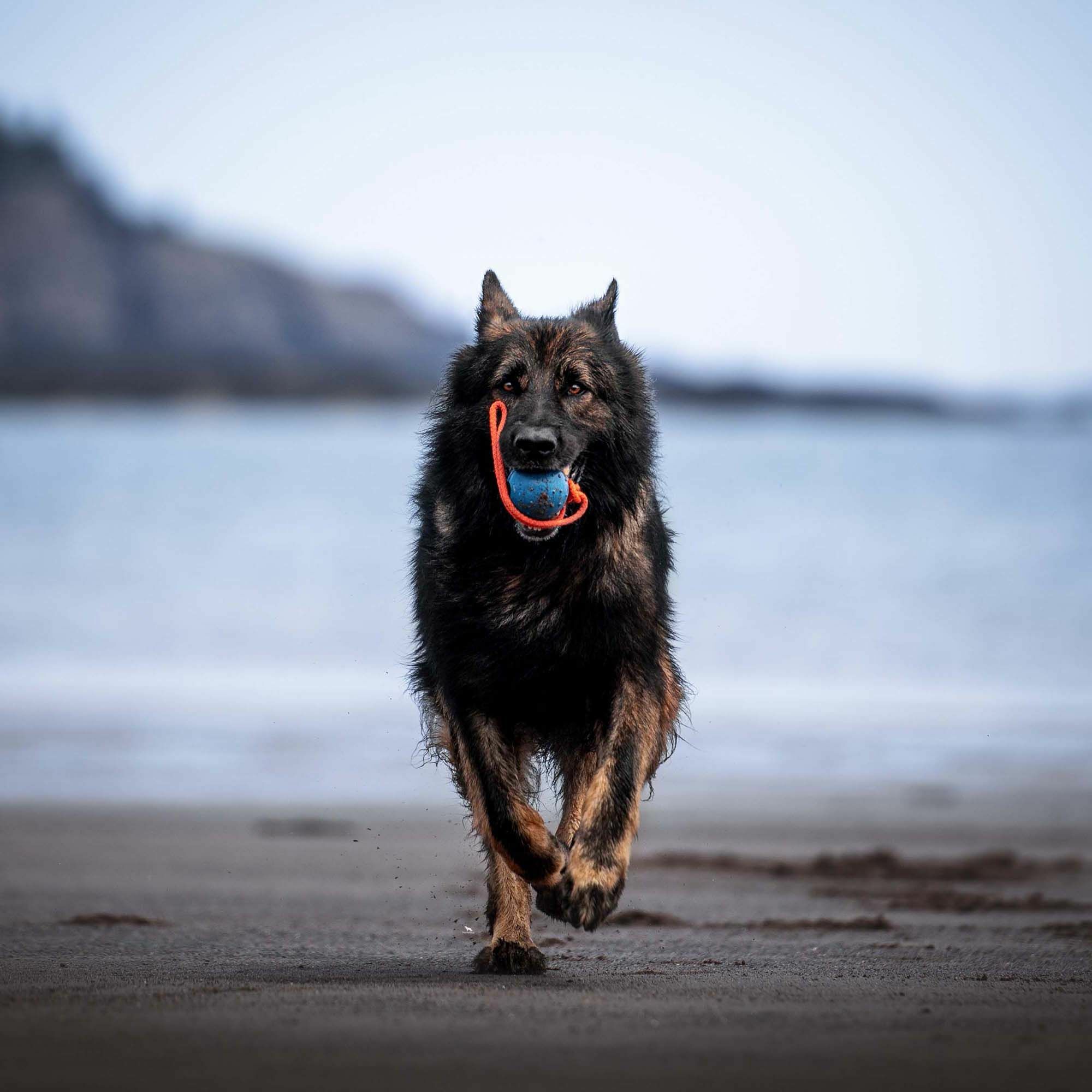 HS Lopta gumená s priemerom 6cm, plná, s uškom, žltá