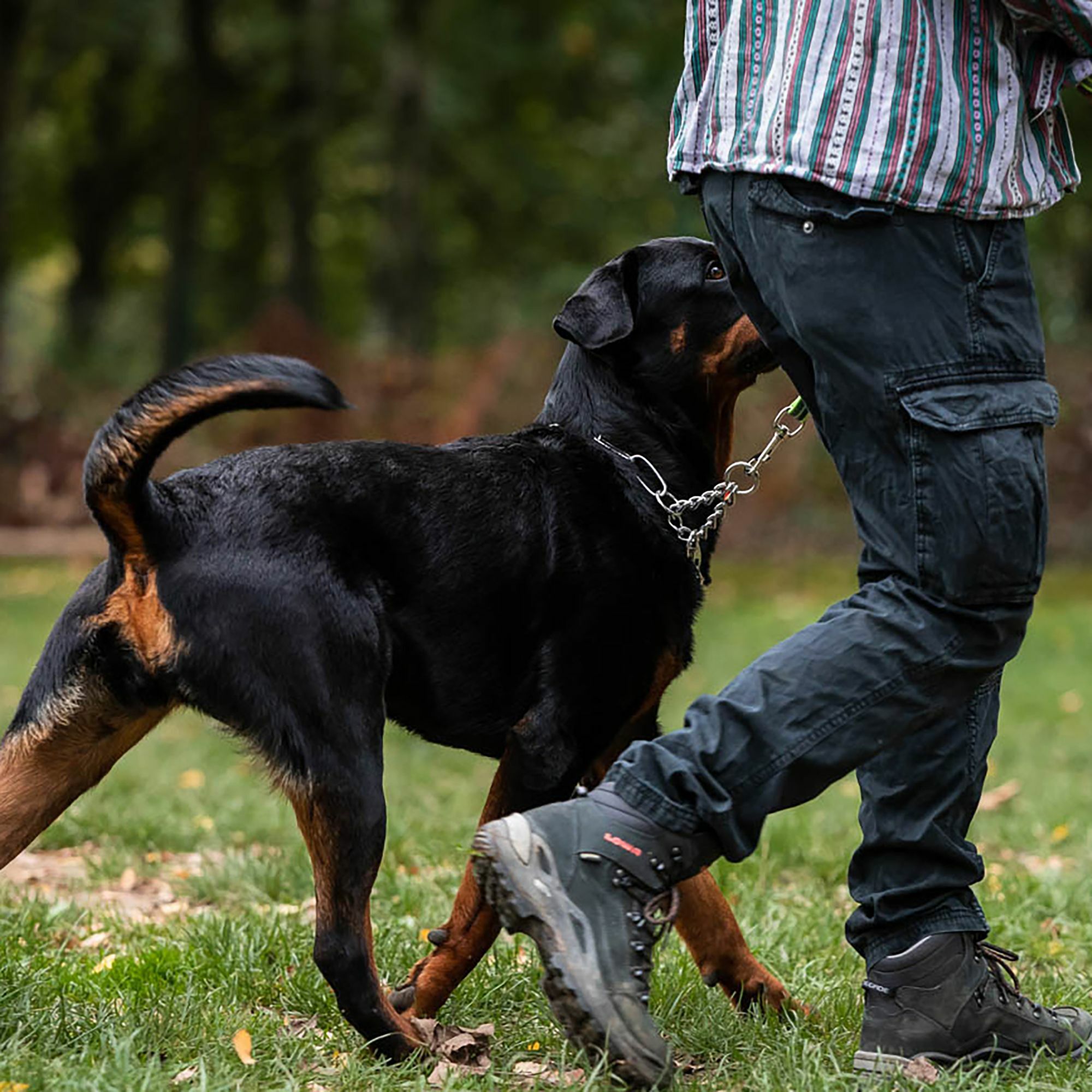 HS Obojok retiazkový, 4mm/75cm, nastaviteľný s karabínou, dlhé oko, nerezová oceľ