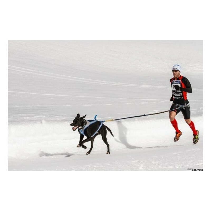 Opasok CANICROSS, oranžová, S