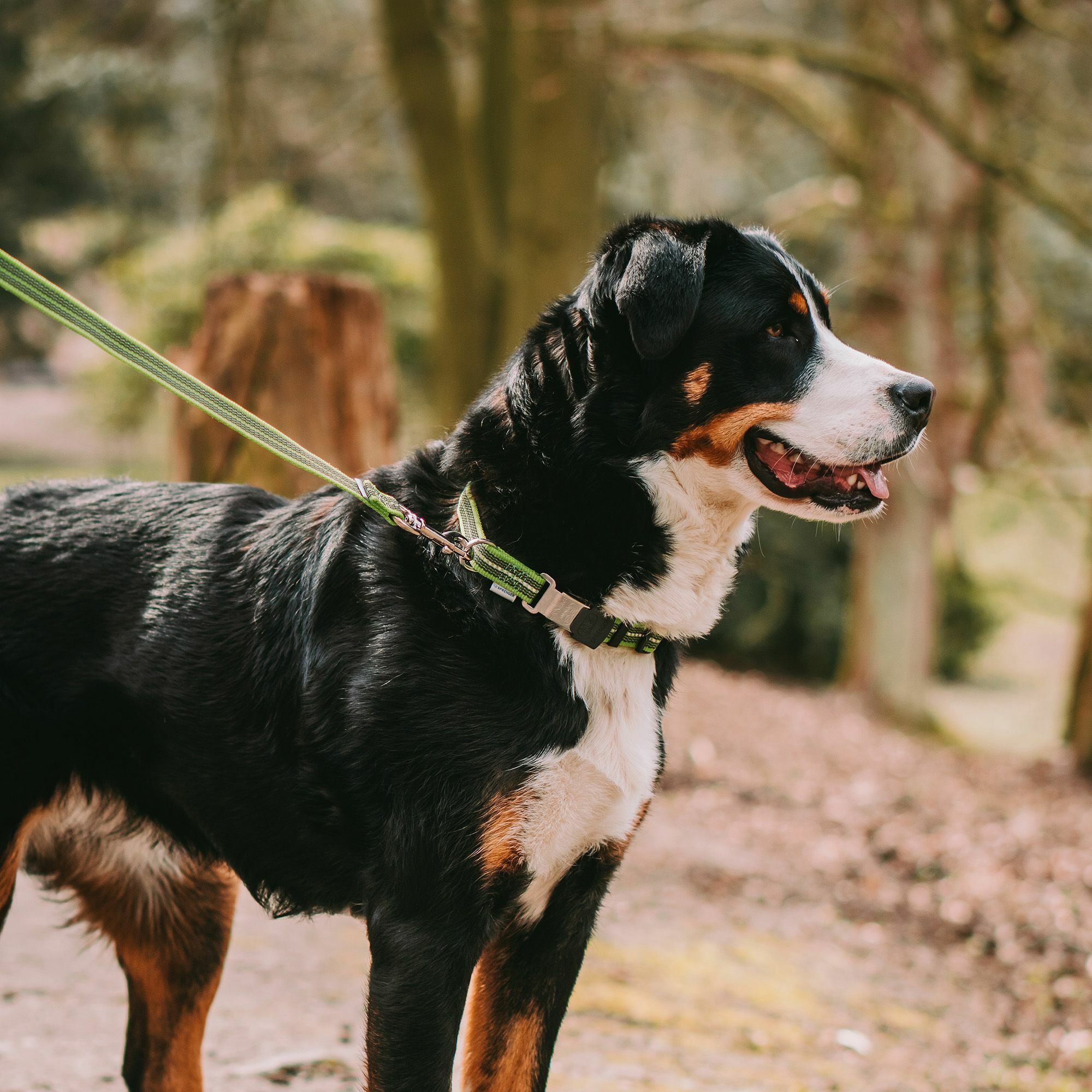 HS Vodítko pogumované s uškom, 19mm/120cm, zelené