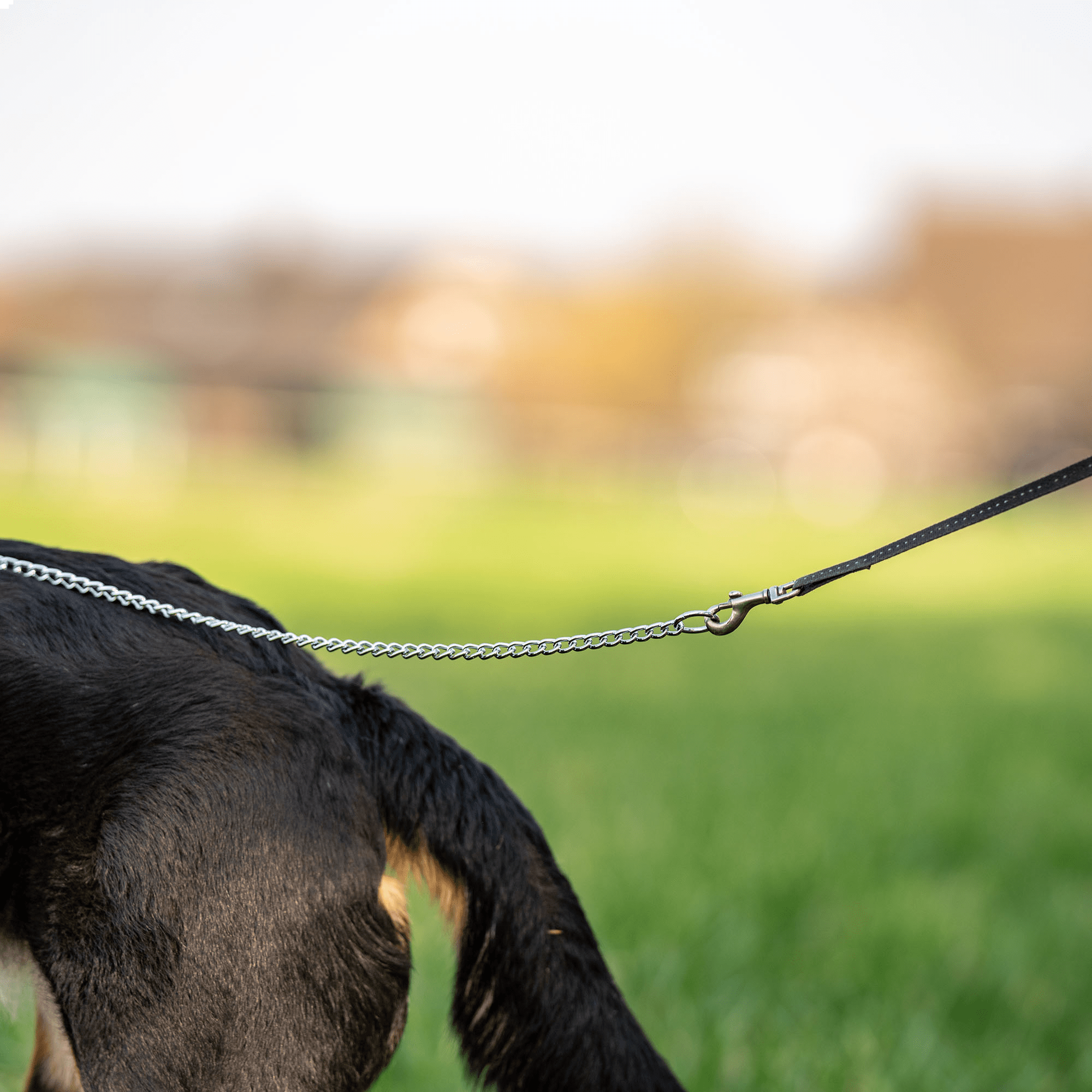 HS Retiazka bez uška, 80cm/3mm, okrúhle malé oko, chrómovaná oceľ
