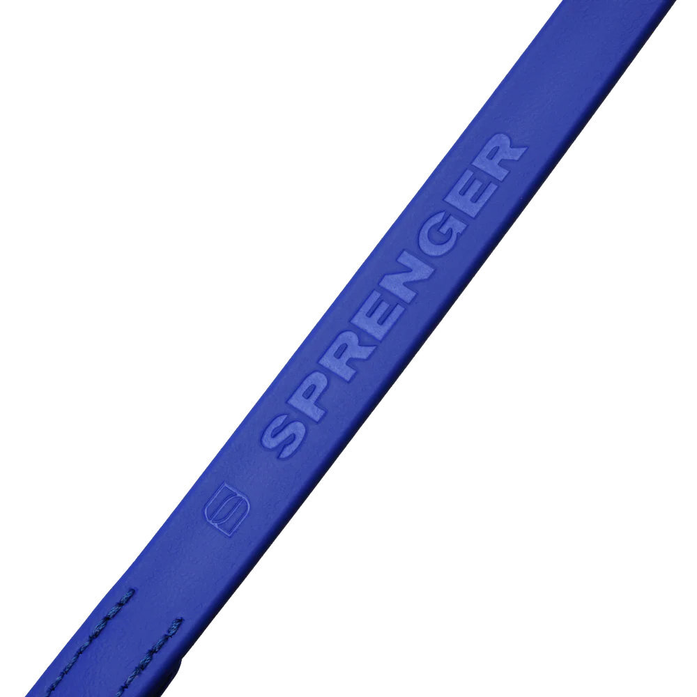 HS Sprenger | Vodítko SHORT BIOTHANE uško, 19mm/30cm, nerezová karabína, modré