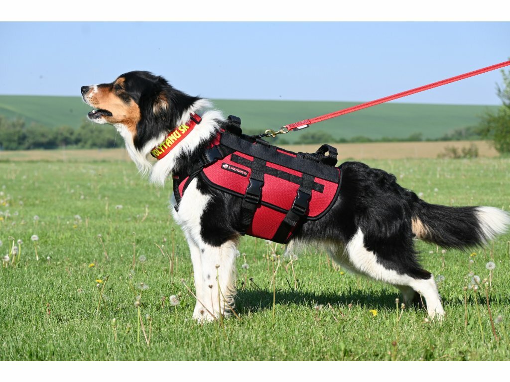 Postroj pre ozbrojené zložky SPARTAN, 2 rúčky, polstrovaný, cordura, pes, červený