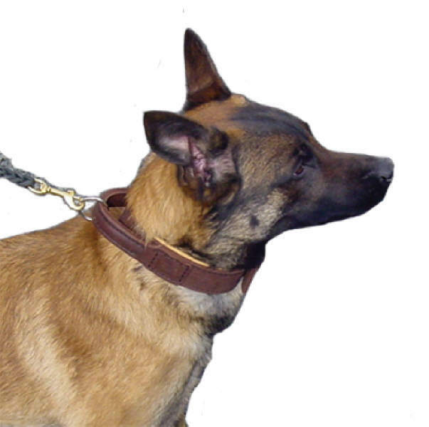 Obojok kožený s rúčkou, 50mm/65cm, mäkký, hnedý