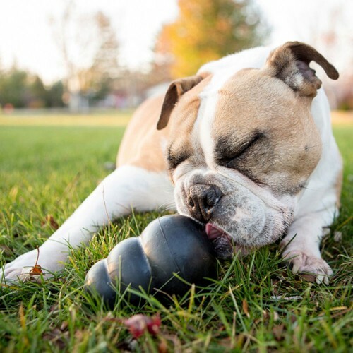 Hračka Kong Dog Extreme - granát na plnenie, prírodná guma, 8cm, čierna, S