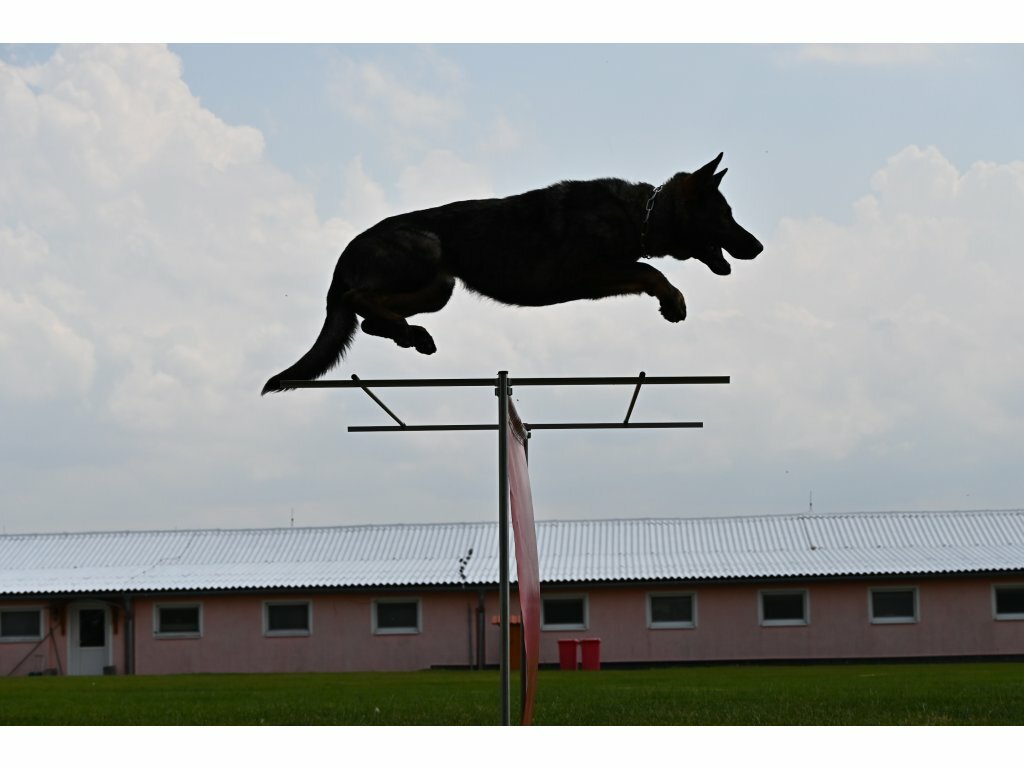 Jumplonger - preskoková pomôcka - rozšírenie k transportnej prekážke