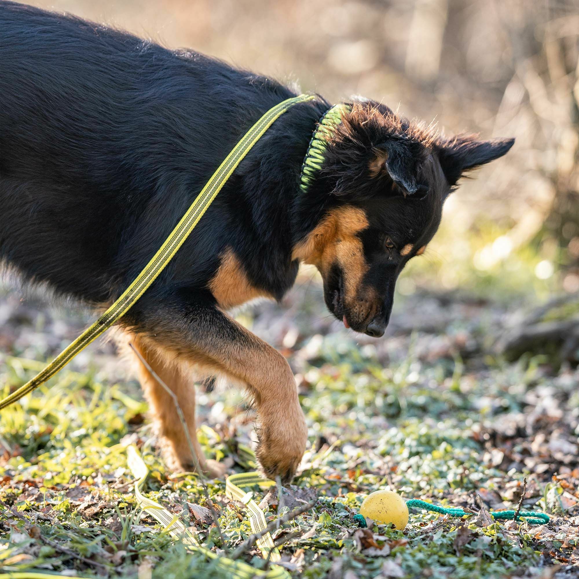 HS Vodítko pogumované bez uška, 19mm/300cm, žlté