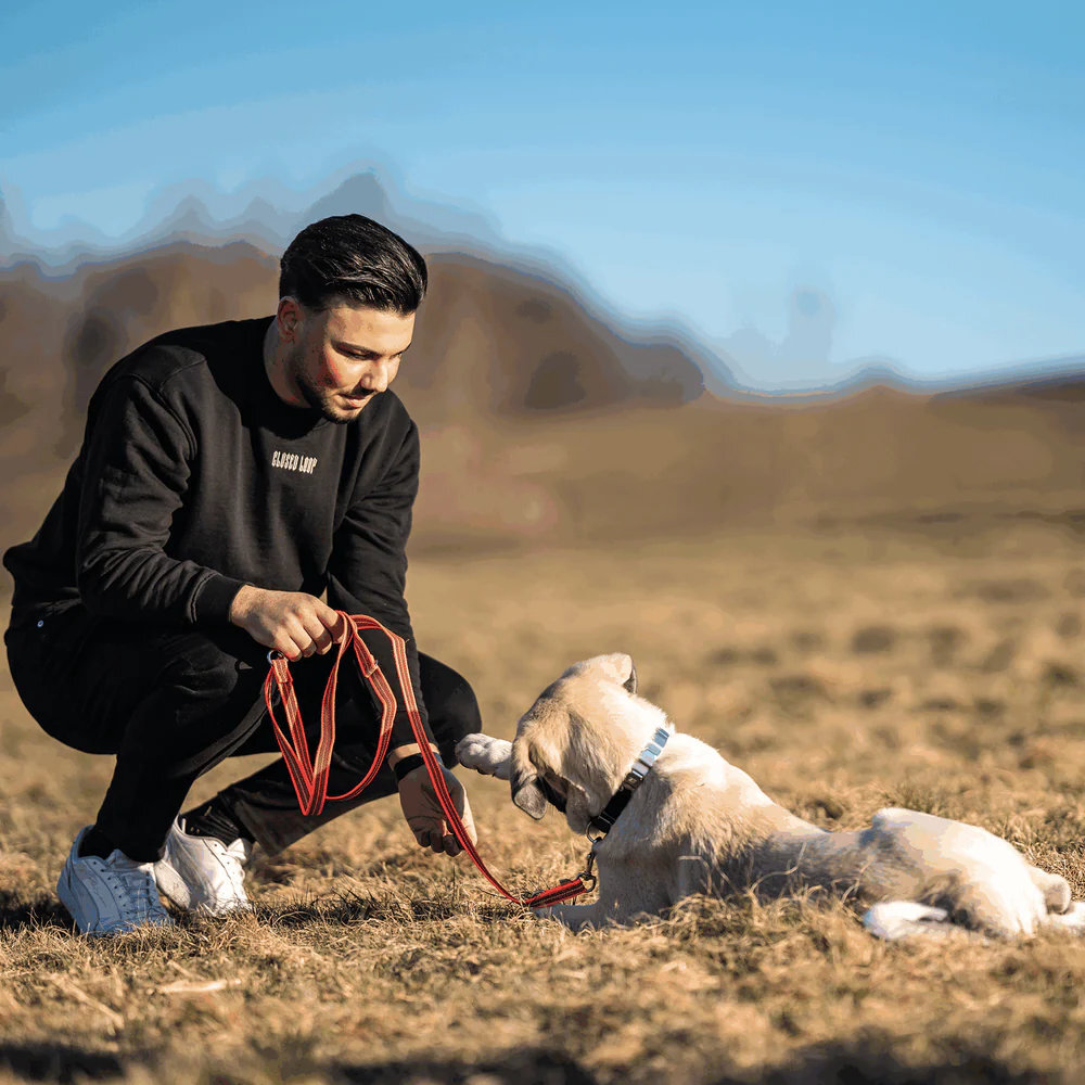 HS Sprenger | Vodítko pogumované, prepínacie, 19mm/230cm, 2 karabíny, reflexné oranžové