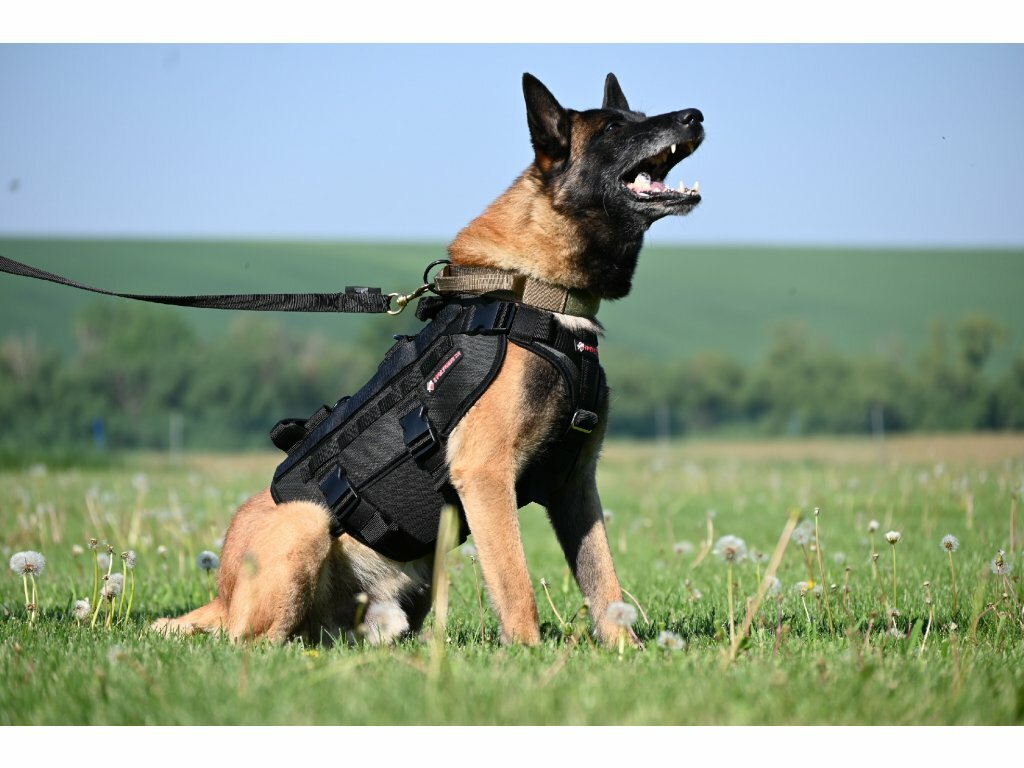 Postroj zlaňovací SPARTAN COBRA, 2 rúčky, posltrovaný, cordura, veľký, červená