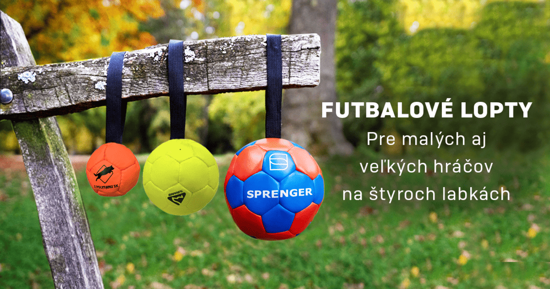 Futbalové lopty
