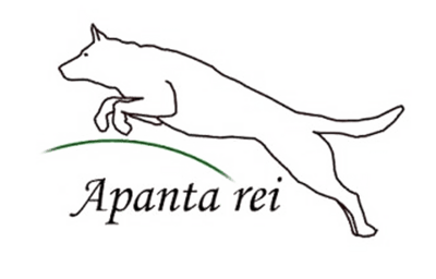 Apanta rei
