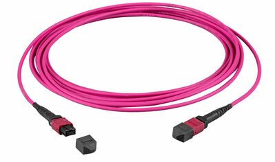 Fiber kábel MTP-MTP, 0.5m Duplex OM4(50/125µm), LSOH, 3mm, Trunk Cable, fialový, Typ-B