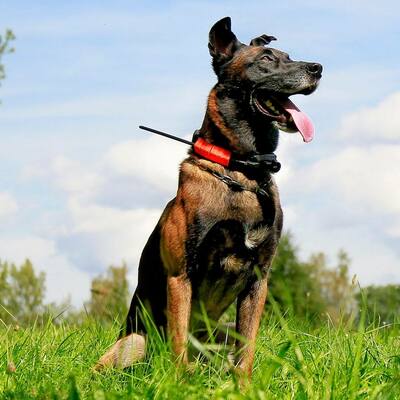 Vyhľadávacie a výcvikové zariadenie pre psov DOG GPS X30TB, so zvukovým lokátorom,dosah 20km,13 psov