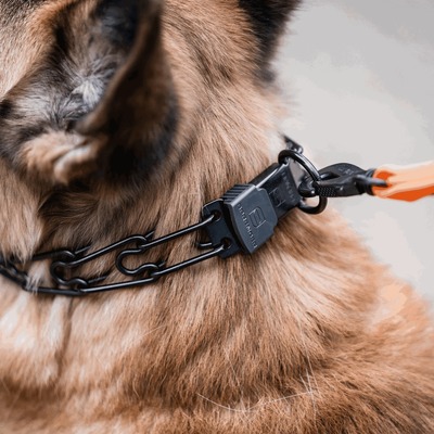 Obojok ostnatý ULTRA-PLUS 4mm/60cm, ClicLock, nerezová oceľ, čierny, HS
