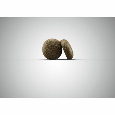 Krmivo JOSERA Losos a zemiaky 22/14, pre citlivé alebo staršie psy, 15kg (nová rada: SALMON POTATO)§