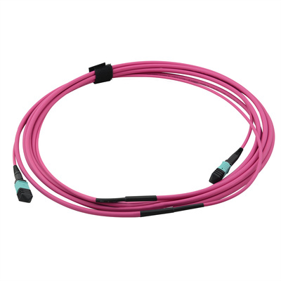 Fiber kábel MPO-MPO, 3m Duplex OM4(50/125µm), LSOH, 4.5mm, Trunk Cable, fialový, Typ-A