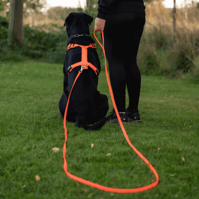 Vodítko stopovacie s uškom pogumované, Footballgrip, 16mm/10m, nerezová karabína, oranžové