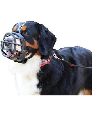 Náhubok Baskerville plast čierny pre psa veľ.6