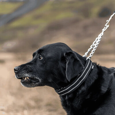 Kryt na ostnatý obojok ULTRA-PLUS, 2.5cm/29.5cm, čierna reflexná, HS