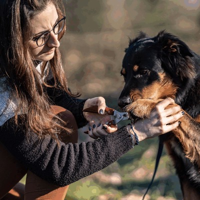 Kliešte na pazúre s bezpečnostným stopom, drevená rukoväť, nerezová oceľ, HS