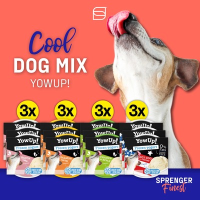 YowUp! Mrazený jogurt pre psov 110g, mix príchutí, balenie 12ks
