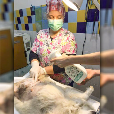 VETERINOL ošetrujúci a dezinfekčný veterinárny roztok sprej 500 ml