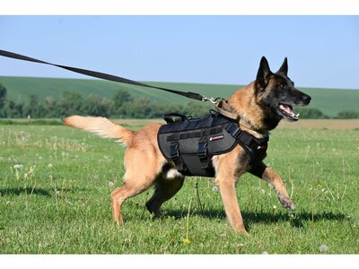 Postroj pre ozbrojené zložky SPARTAN, 2 rúčky, polstrovaný, cordura, pes, taktická zelená