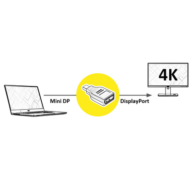 Adaptér mini DisplayPort na DisplayPort M/F, dongle, čierny