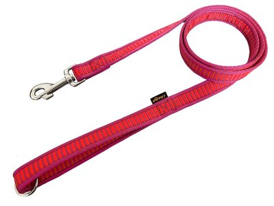 Vodítko na poslušnosť REBRÍK s uškom, 20mm/1.5m, chrómová karabína, popruh, červené