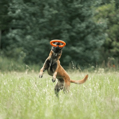 Hračka kruh (puller), plávajúci, L - 30cm, netoxický polymér, oranžová, HS