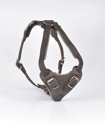 Postroj na obranu pre malé psy, polstrovaný, PREMIUM, univerzálny, do 60cm, koža,veľkosť 1