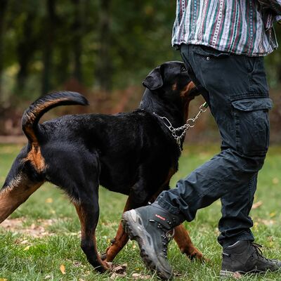 HS Obojok retiazkový, 4mm/75cm, nastaviteľný s karabínou, dlhé oko, nerezová oceľ