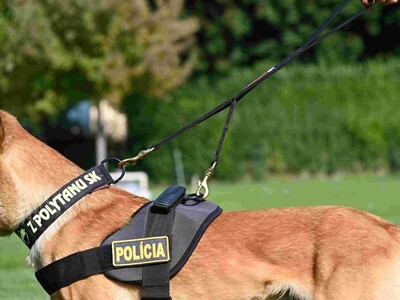 Vodítko PATROL DOUBLE s uškom, 2.5m, mosadzná karabína, popruh, čierne