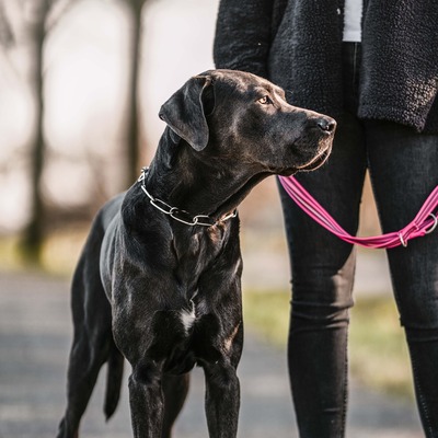 Obojok retiazkový s obmedzovačom 4mm/65cm, dlhé oko, nerezová oceľ, HS
